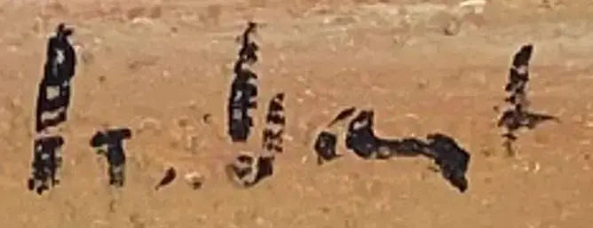 Huile sur toile signé marine, vue d'une plage, très lumineux. Années 80, encadré. Antiquités de France