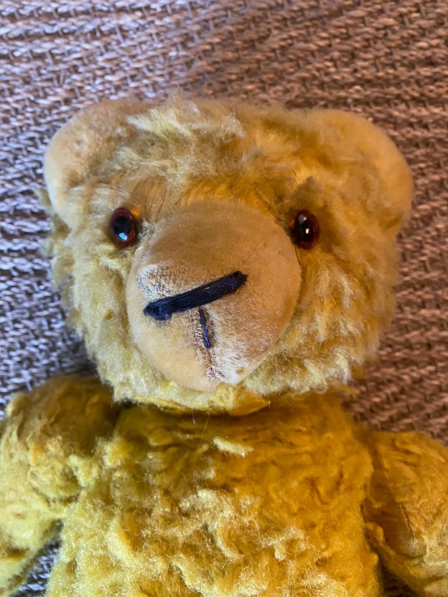 Ours articulé ancien vers 1900, anglais, mohair, yeux verre, 60 cm, excelsior-{{shop name}}