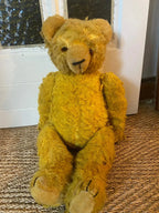 Ours articulé ancien vers 1900, anglais, mohair, yeux verre, 60 cm, excelsior-{{shop name}}