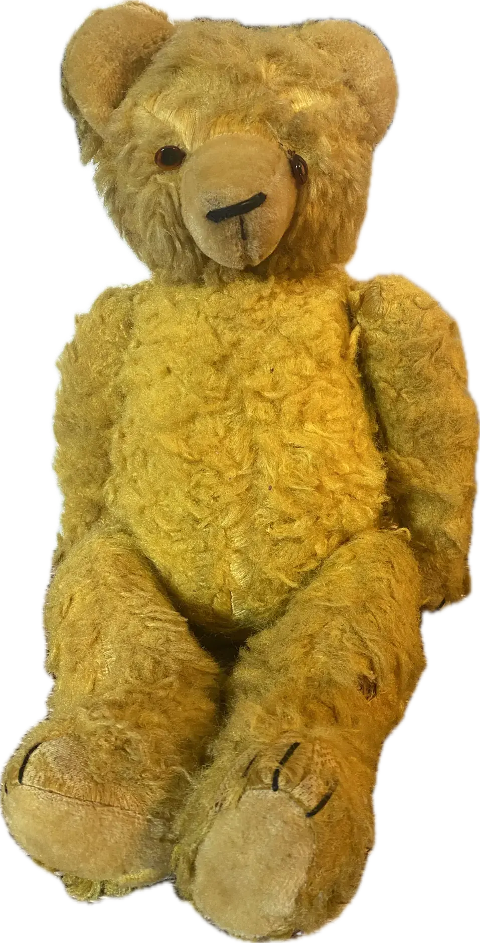 Ours articulé ancien vers 1900, anglais, mohair, yeux verre, 60 cm, excelsior-{{shop name}}