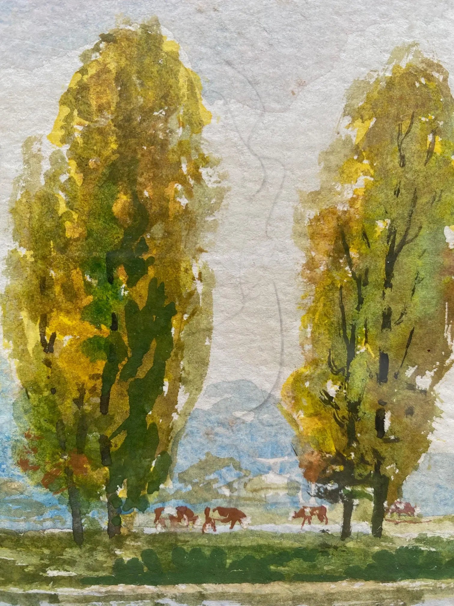 Tableau ancien signé F. Cochard, encadrée sous verre, du début XXème, peinte à l'Aquarelle. Antiquités de France