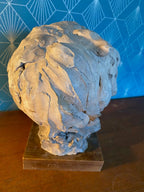 Buste en terre cuite XIXème. Etude d'un visage d'enfant attribué à Carpeaux. Antiquités de France