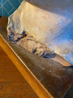 Buste en terre cuite XIXème. Etude d'un visage d'enfant attribué à Carpeaux. Antiquités de France