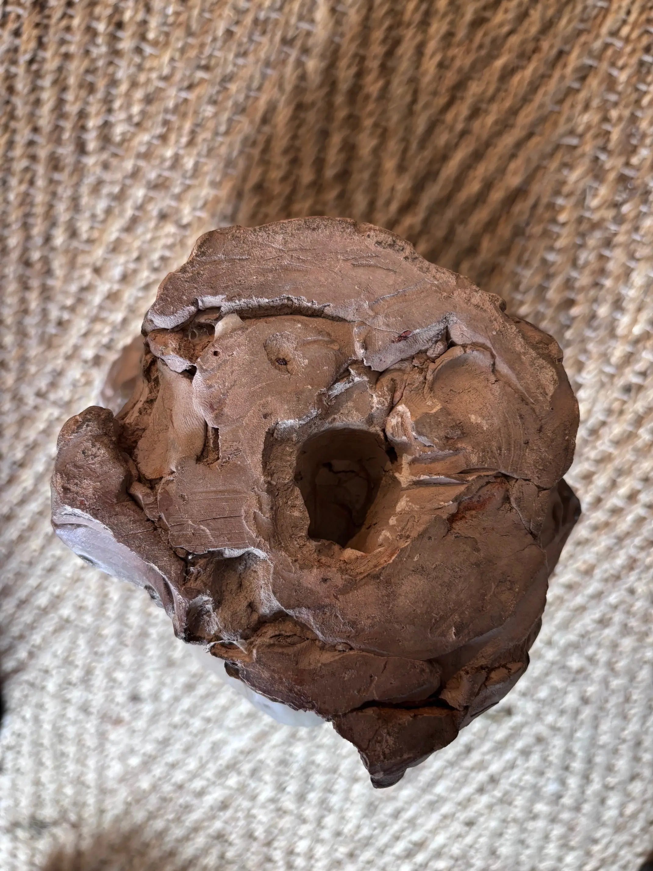 Buste en terre cuite XIXème. Etude d'un visage d'enfant attribué à Carpeaux. Antiquités de France